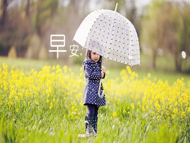 深圳宝安西乡试管,试管失败体内淤血